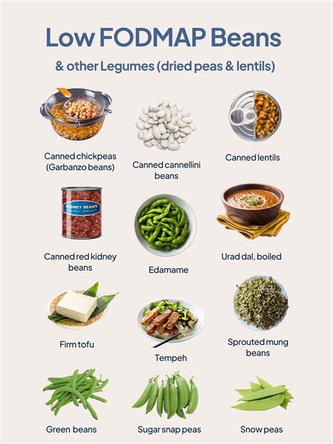 Low Fodmap Beans