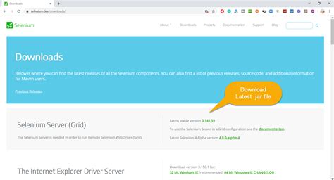 How to Install Selenium for JavaScript 的图像结果