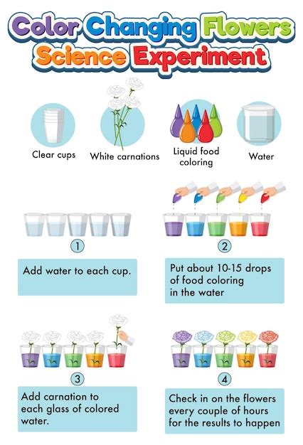 Image result for Food Coloring Flowers Science Project