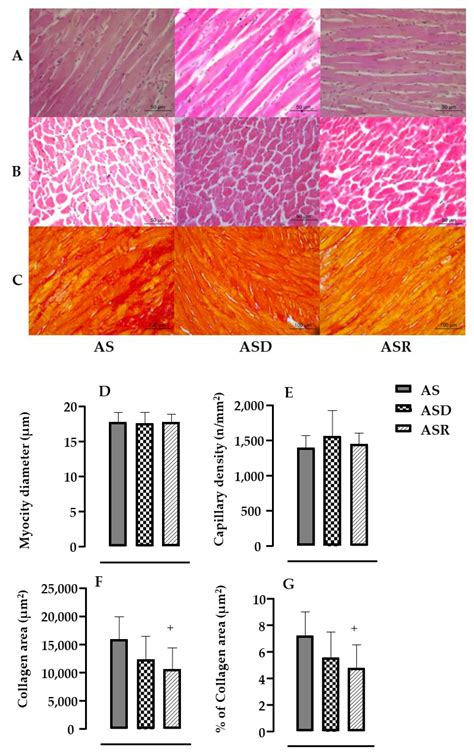 Blockade of Inflammatory Markers Attenuates Cardiac Remodeling and ...