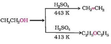 Identify "A" and mention the name of the mechanis