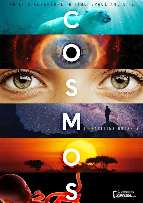 《宇宙时空之旅 第一季》全集/Cosmos: A SpaceTime Odyssey Season 1在线观看 | 91美剧网