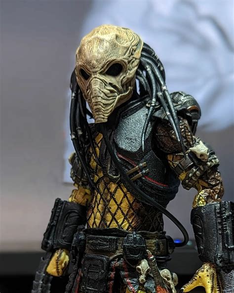 Image result for Predator Custom
