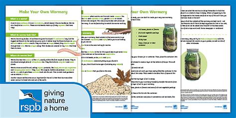 Make Your Own Wormery (Ages 7 - 11)