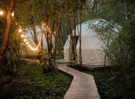 Forest Glamp — База отдыха (глэмпинг) на берегу реки Оредеж в окружении ...