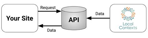 Local API Example 的图像结果