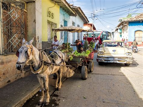 Cuban Food Imports