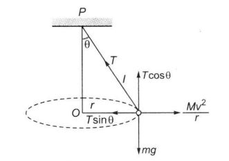 A string of length l fixed at one end carries a mass m at the other end ...