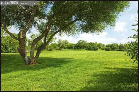 清新草地风景背景图片素材-自然风光-百图汇素材网