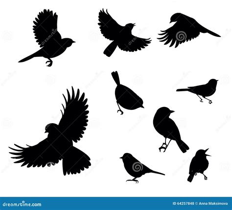Silhouettes of birds stock vector. Illustration of background - 64257848