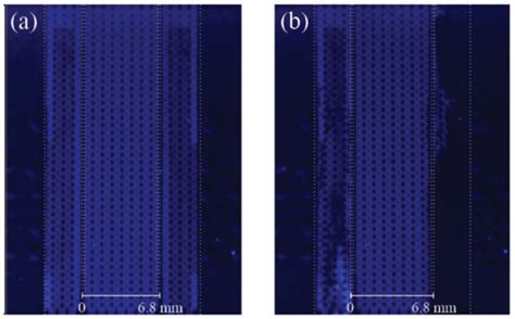 Fluorescence Imaging Characterization of the Separation Process in a ...