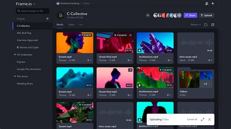 Image result for Frame.io Features