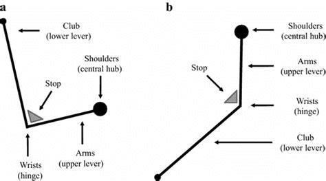 Double Pendulum Golf Swing 的图像结果
