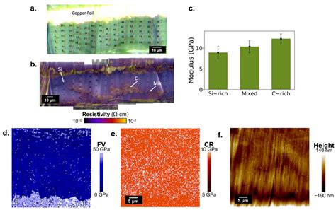 Impacts of Curing-Induced Phase Segregation in Silicon Nanoparticle ...