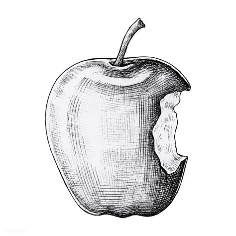 apple drawing small