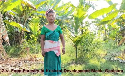 Home | Panchayat & Rural Development | Government Of Assam, India