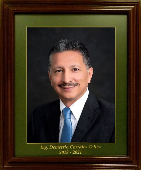 Image result for Delgres President