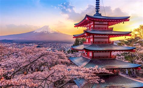 Discover the Beauty and Culture of Japonia Blog SEO Title