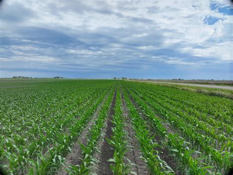 Farm Real Estate in Iowa, Minnesota & South Dakota | Midwest Land ...