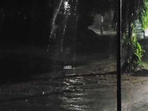 Yellow alert in 17 districts as Chhattisgarh faces torrential rain ...
