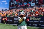 Oregon Ducks Football, Basketball, Baseball, and More Sports News ...