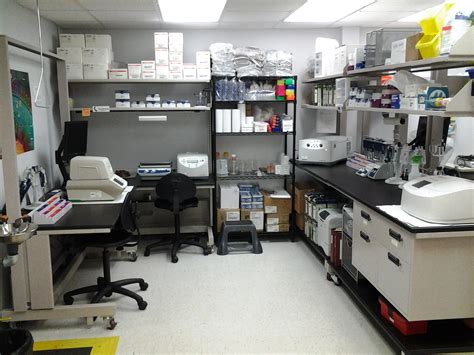 Biomedical Engineering Lab 的图像结果