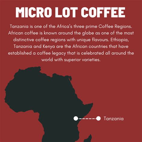 Buy Tanzania Coffee from Mt Kilimanjaro - Toffee Coffee Roasters