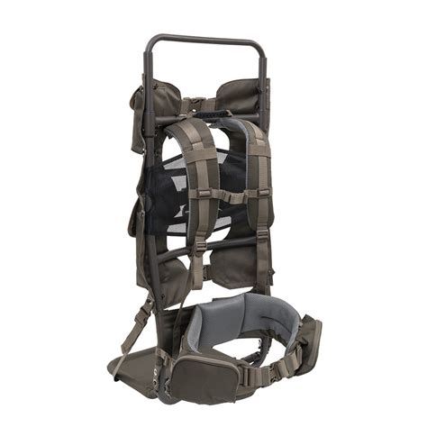 Image result for Frame Alps Packs