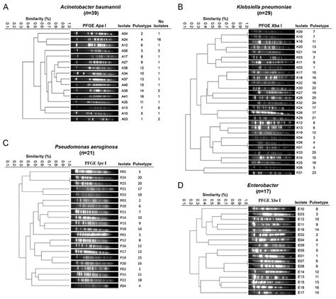 Gram-negative ESKAPE bacteria bloodstream infections in patients during ...