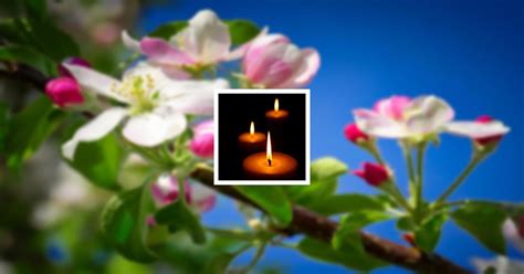 Obituary | Robin Gail Keffer | Rose & Quesenberry Funeral Chapels