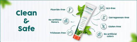 Buy Himalaya BOTANIQUE Complete Care Toothpaste (Simply Mint) 150g ...