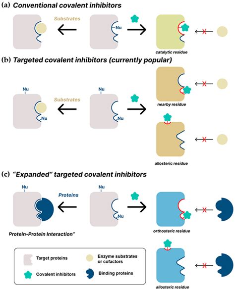 Extended Applications of Small-Molecule Covalent Inhibitors toward ...