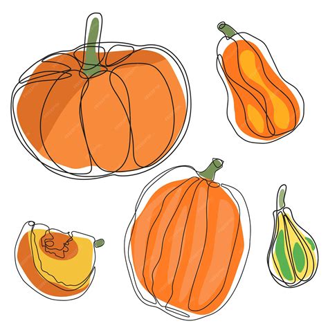 Different types of pumpkins set | Premium Vector