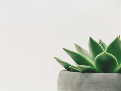 Funeral Homes in Rolla, North Dakota | Ever Loved