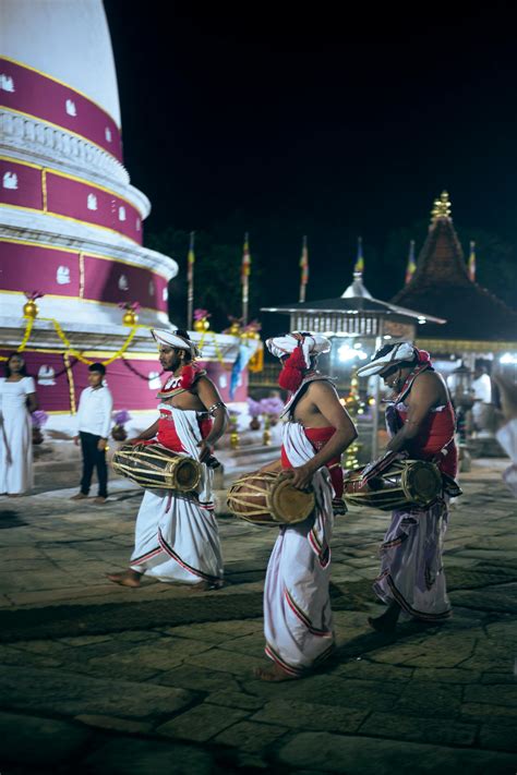 African 的图像结果