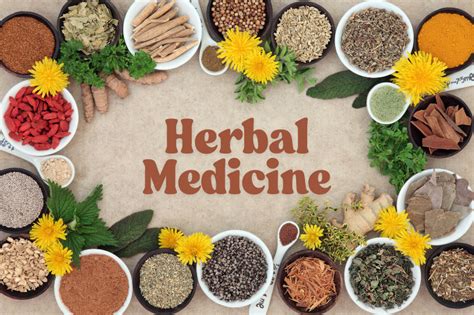 Herbal Medicine 的图像结果