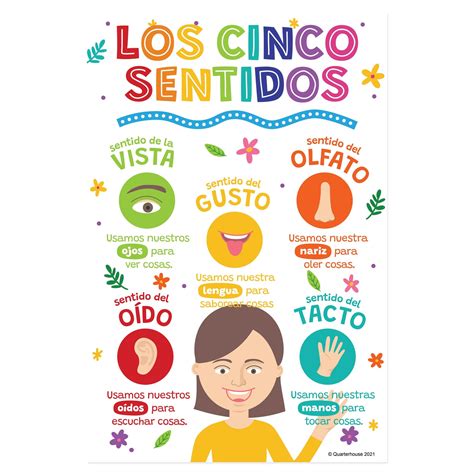 Quarterhouse Beginner Spanish - Five Senses Poster, Spanish and ESL Cl ...