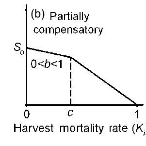 Image result for Additive vs Compensatory Mortality
