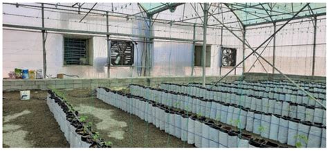 Seawater Greenhouse Equipped with a Novel Solar Humidification ...
