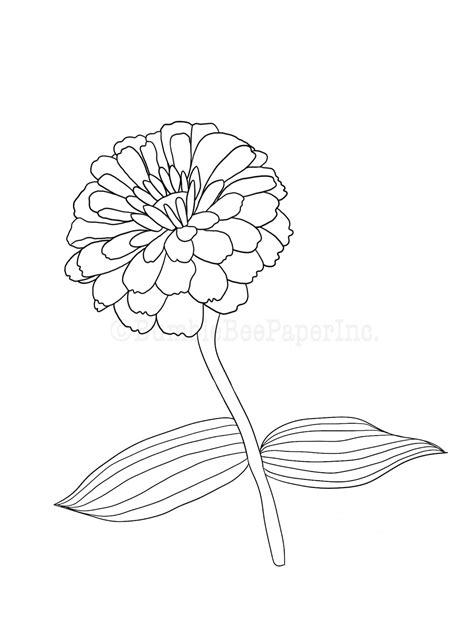 Zinnia Border Clipart Best Marigold Illustrations, Royalty-Free Vector Graphics & Clip Art ...
