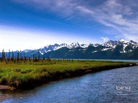 Bing Dextop Cover Wallpapers