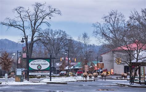 Who Owns Happy Holiday Campground Cherokee Nc