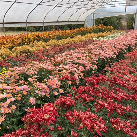 Our Story – 3 Porch Farm