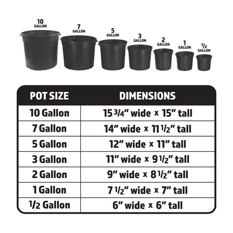 Nursery Plant Container Sizes at Zachary Fry blog