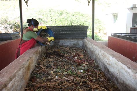 Biodegradable waste – Saahas Zero Waste