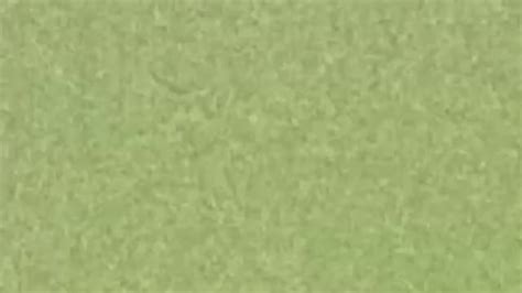 Image result for G-Major 0 Tutorial