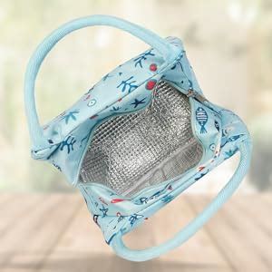 Buy INSTABUYZ Insulated BPA Free Lunch Bag Tiffin and Food Container ...