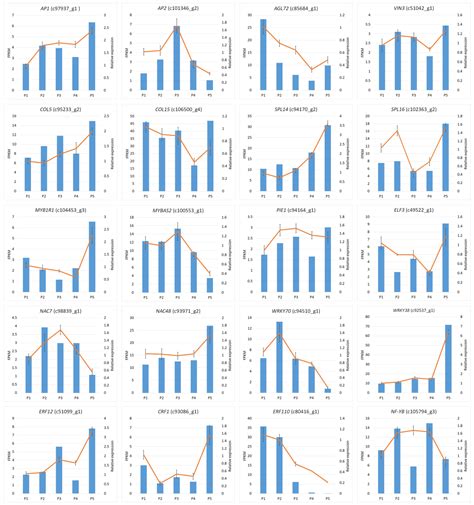 Transcriptome Analysis of Lycoris chinensis Bulbs Reveals Flowering in ...