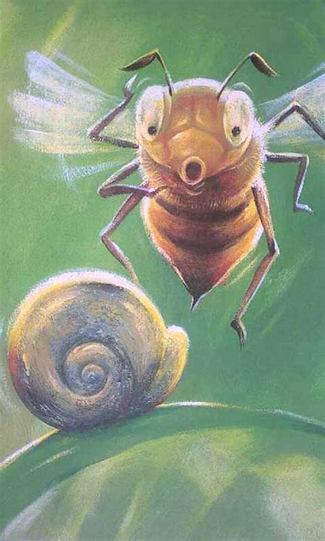 绘本推荐：《蜗牛的家在哪里?》_儿童读物_幼教网