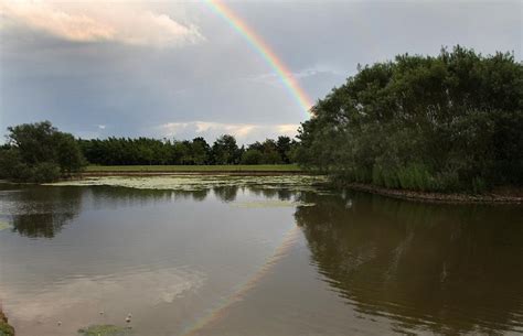 Skirlington Restaurant: Pictures & Reviews - Tripadvisor